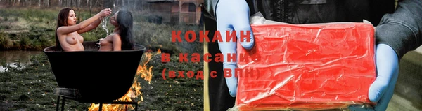 твердый Каменка