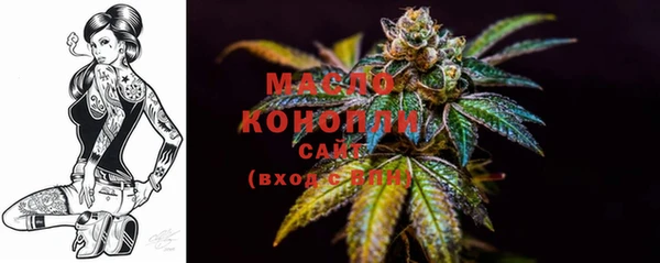 гашик Каменногорск