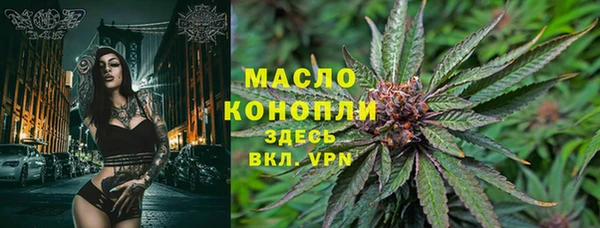 гашик Каменногорск