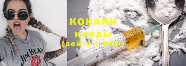 твердый Каменка