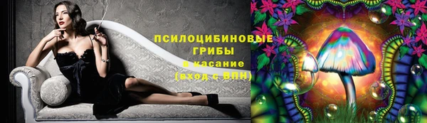 спиды Касимов